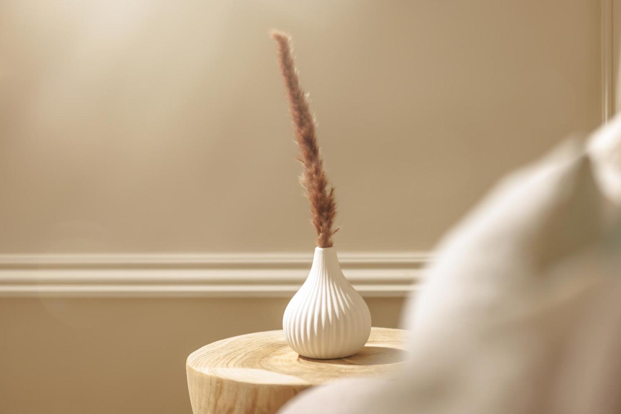 Ocean City Stylish Ground Flat Πλίμουθ Εξωτερικό φωτογραφία